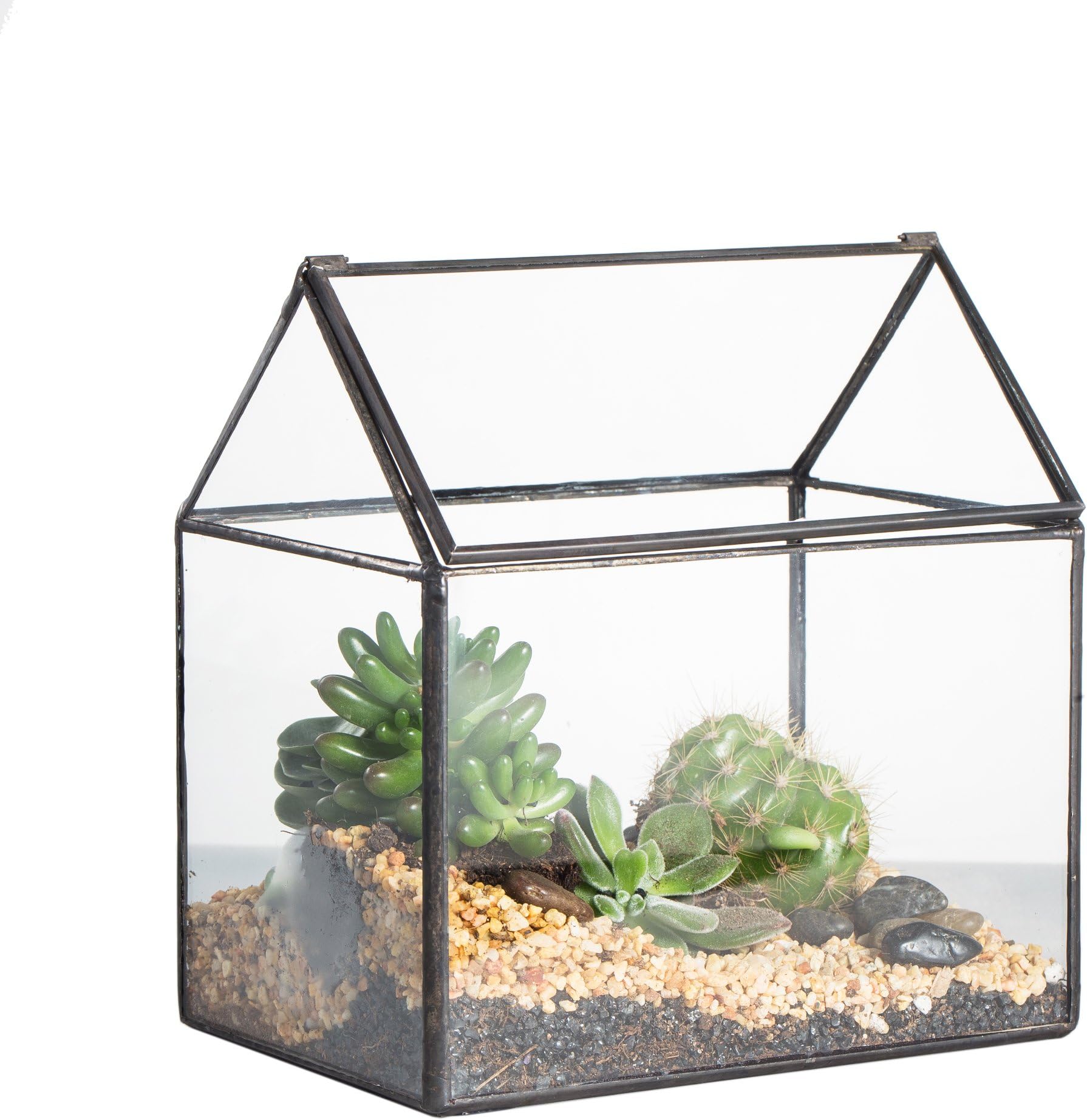 22cm Terrarium Glas Mini Terrarium Geometrisches Pflanzen Terrarium ...